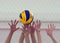 Women volleyball players hands blocking ball