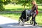 Women walk stroller summer