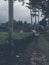 Women walk through tea plantation area. Gloomy atmosphere and cloudy weather