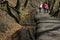 Women walking on forest trail with dog