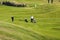 Women Walking Golfers