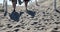 Women walking through the sand to the ocean