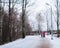 Women walking with strollers in the city Park in winter