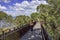 A women walks on canopy walkway of Lotterywest Federation Walkway at King`s Park and Botanical Garden in Perth, Australia.
