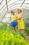 Women watering vegetables