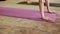 Women wearing sportswear standing in plank on mats, yoga class outdoors