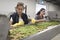 Women working in olives factory plant