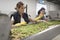 Women working in olives factory plant