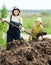 Women works with animal manure