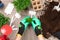 Womens hands in green gloves planting seeds at home in fertile black earth. In background freshly grown sprouts. Spring and