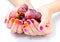 Womens hands holding branch of red grape