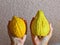 Womens hands holding the etrog