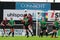 Womens National League game: Galway WFC vs Peamount United