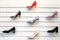 Womens shoes on shelves. Collection of shoe display in store window for sale