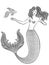 Wonder Mermaid with fish