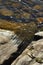 Wonderful algae scenery in transparent water. Bright green colours on rocks underwater. Peaceful waterfront seascape