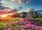 Wonderful alpine highlands with colorful clouds in the sky during sunset. Incredible nature landscape with rhododendron flowers in