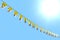 wonderful any occasion flag 3d illustration - many Holy See flags or banners hanging diagonal on rope on blue sky background with