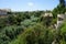 Wonderful architecture and unique vegetation in Mosta, Malta