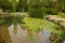 Wonderful artificial pond in city park