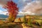 Wonderful autumn hillside in Transylvania