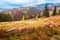 Wonderful autumn hillside in Transylvania