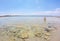 Wonderful beach with crystal clear water in Salento, Puglia, Italy