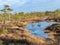 Wonderful bog landscape, beautiful bog lakes, pines, bog grass and moss