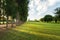 Wonderful and breathtaking green park landscape in the morning