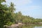 Wonderful Caribbean vegetation landscape