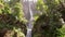 wonderful clear waterfall, hiking in America to the Wakina Falls, Oregon.