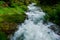 wonderful cold clear creek in a green nature while hiking