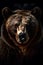 wonderful colored frontal portrait of a bear like male grizzly in front of a dark background