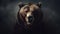 wonderful colored frontal portrait of a bear like male grizzly in front of a dark background