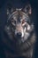 wonderful colored portrait of a wolf in front of a black background