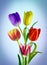 Wonderful coloured tulips