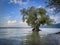 Wonderful colourful landscapes at the Wocherhafen at the Lake Constance