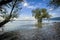 Wonderful colourful landscapes at the Wocherhafen at the Lake Constance