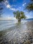 Wonderful colourful landscapes at the Wocherhafen at the Lake Constance