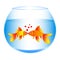 A wonderful concept of love for two golden fish in an aquarium