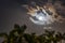 Wonderful dramatic full moon with clouds behind palms Playa Mexico