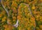 Wonderful drone shot from above at a colorful forest with many driving cars in autumn season, top shot straight from