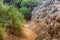 Wonderful dune landscape Cala Mesquida Mallorca Spain