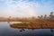 A wonderful early morning by a marsh lake surrounded by fog