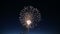 Wonderful fireworks illuminated the night sky