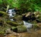 Wonderful forest waterfall