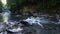 Wonderful fresh river water with rapids on flowing in mountain forest