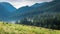 Wonderful grazing herd of sheep in Tatra Mountains, Poland