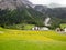Wonderful green meadow cover with dandelion beside Alps small village