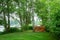 Wonderful green nature - fresh grass and trees  and sawn wood